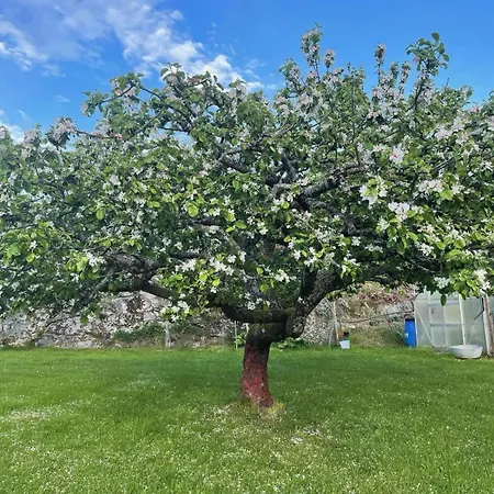 Сasa de vacaciones Family With A View Mandal